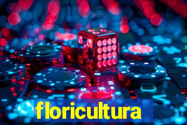 floricultura cruzeiro novo