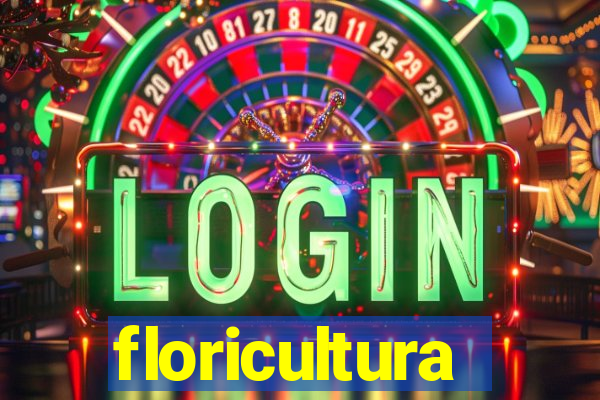 floricultura cruzeiro novo