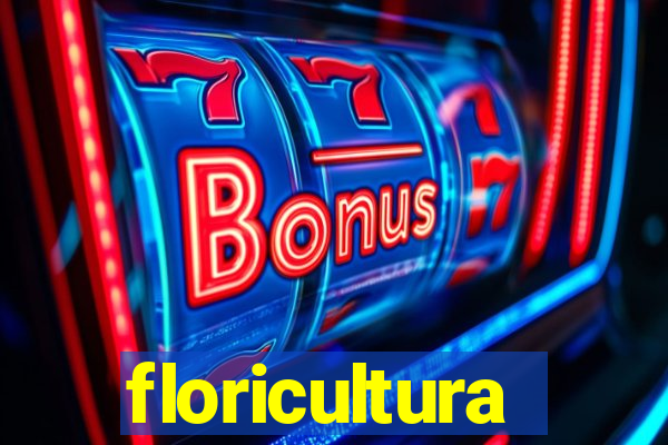 floricultura cruzeiro novo