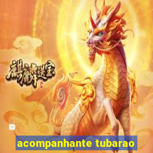 acompanhante tubarao