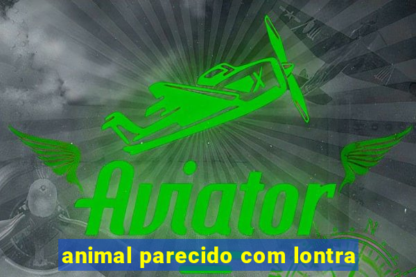 animal parecido com lontra