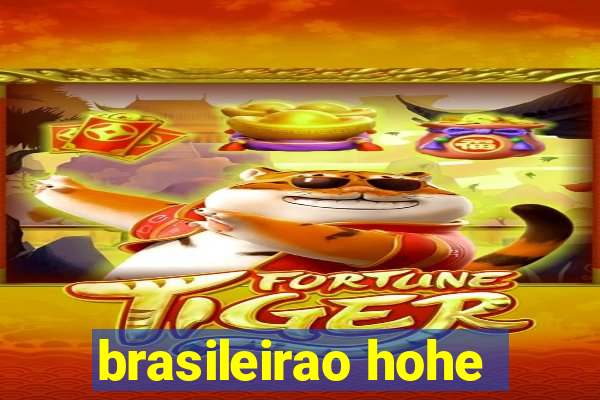 brasileirao hohe