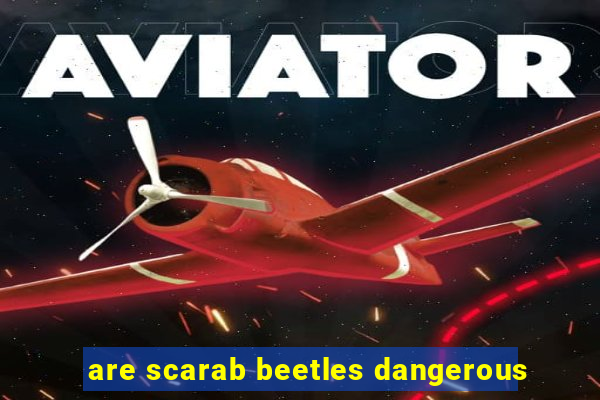 are scarab beetles dangerous