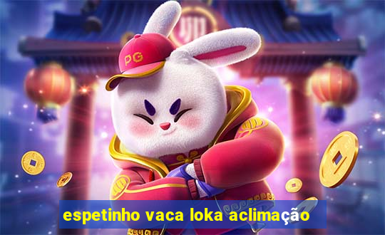 espetinho vaca loka aclimação