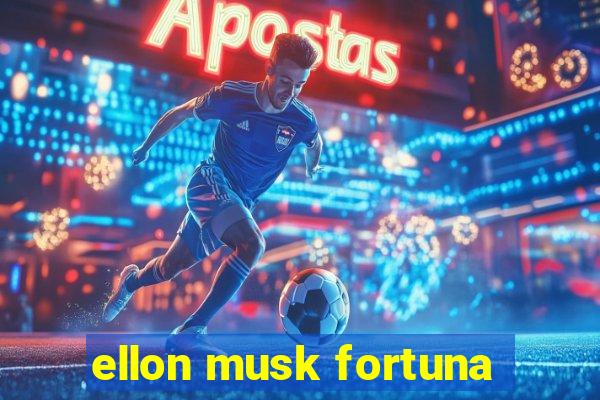 ellon musk fortuna