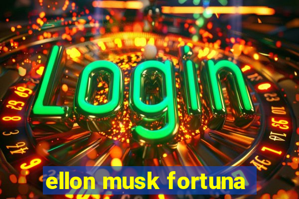 ellon musk fortuna