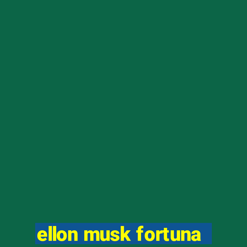 ellon musk fortuna