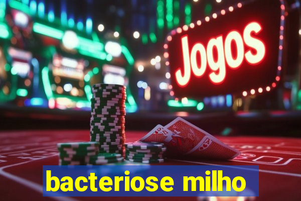 bacteriose milho