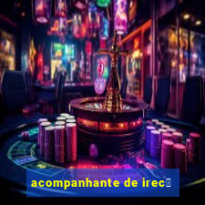 acompanhante de irec锚