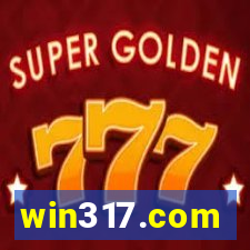 win317.com