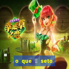 o que 茅 seto altos par芒metros