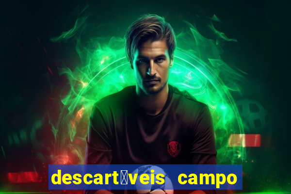 descart谩veis campo grande rj