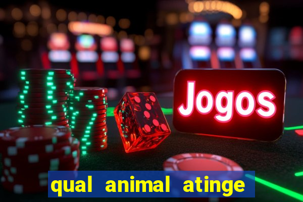 qual animal atinge 230 decibeis