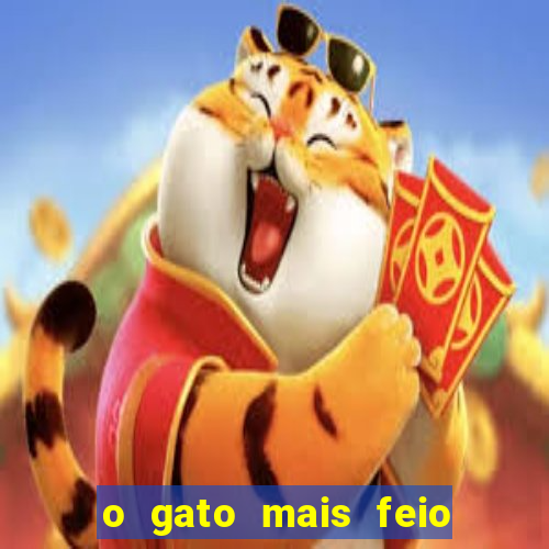 o gato mais feio do mundo