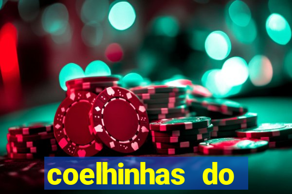 coelhinhas do brasil site