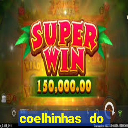 coelhinhas do brasil site