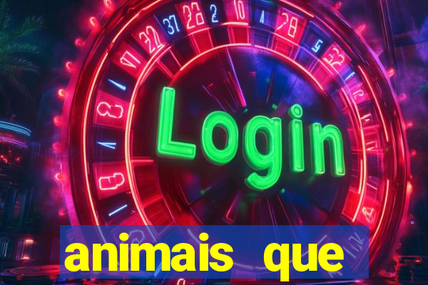 animais que produzem l茫