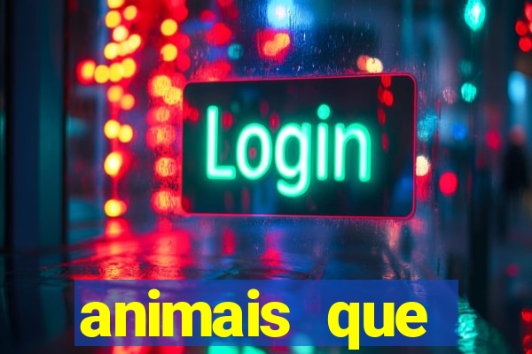 animais que produzem l茫