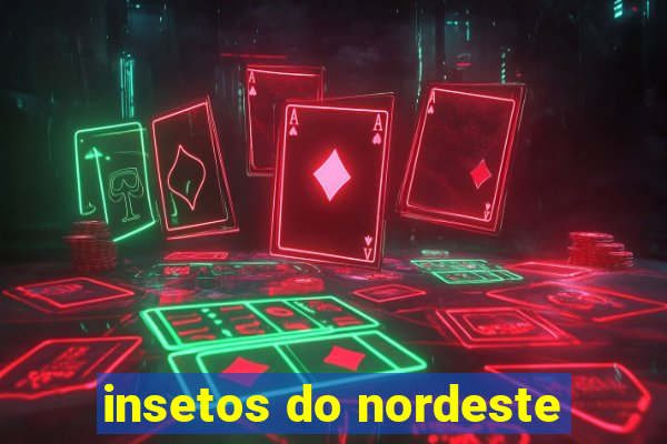 insetos do nordeste