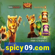 spicy09.com