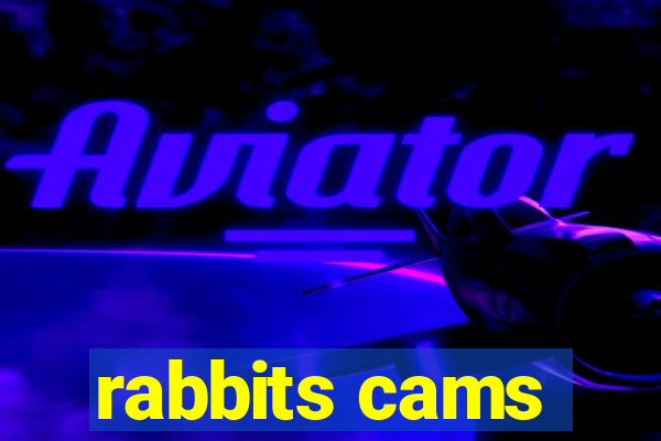 rabbits cams