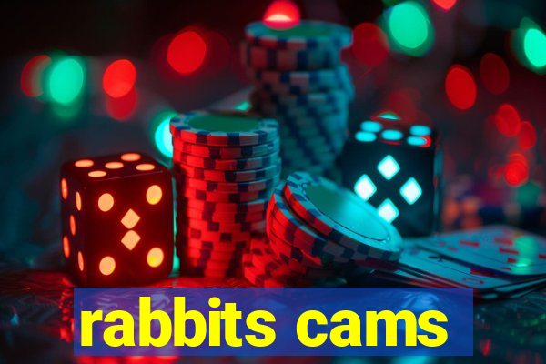 rabbits cams