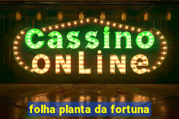 folha planta da fortuna