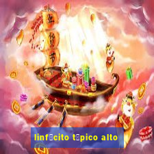 linf贸cito t铆pico alto