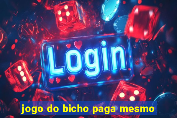 jogo do bicho paga mesmo