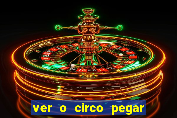 ver o circo pegar fogo significado