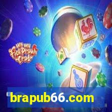 brapub66.com