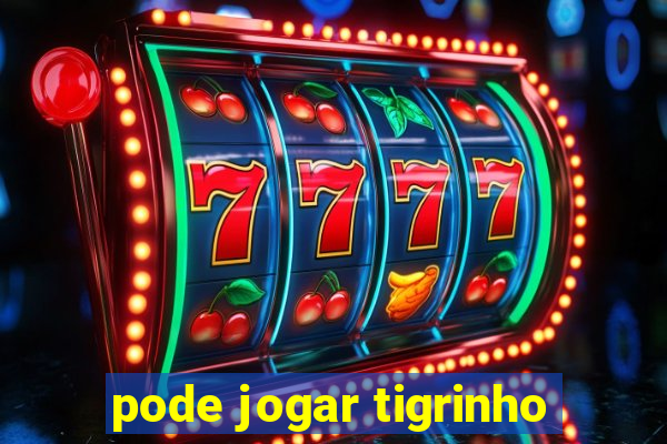 pode jogar tigrinho