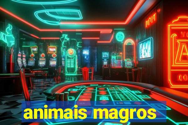 animais magros