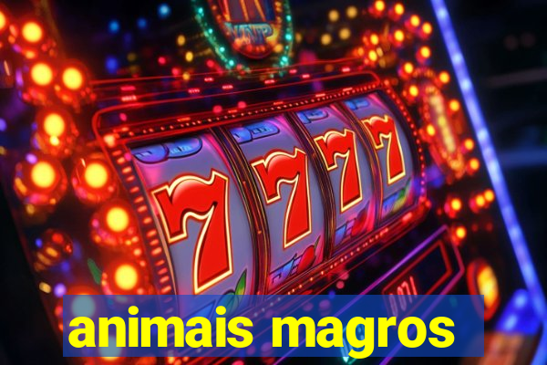 animais magros