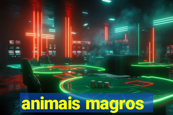 animais magros