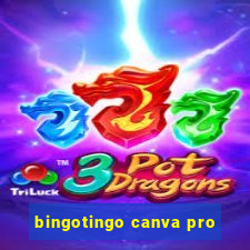 bingotingo canva pro