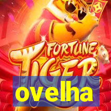 ovelha