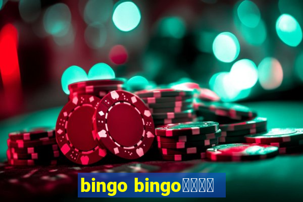 bingo bingo線上投注