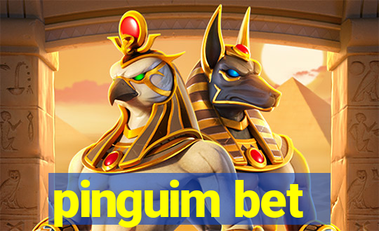 pinguim bet