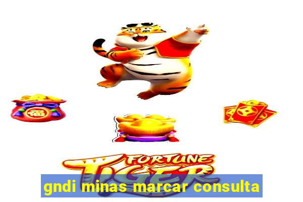 gndi minas marcar consulta