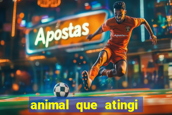 animal que atingi 230 decibeis