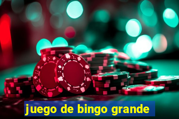 juego de bingo grande