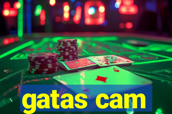 gatas cam