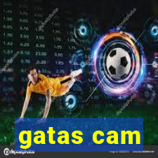 gatas cam