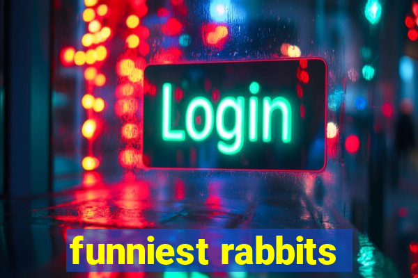 funniest rabbits