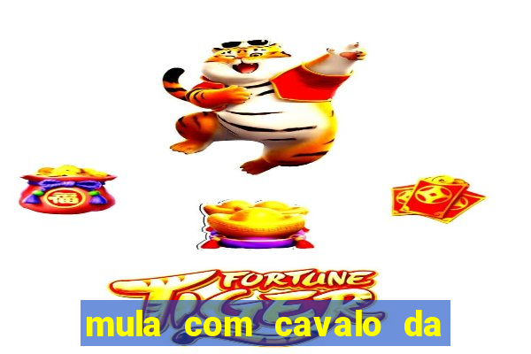 mula com cavalo da o que