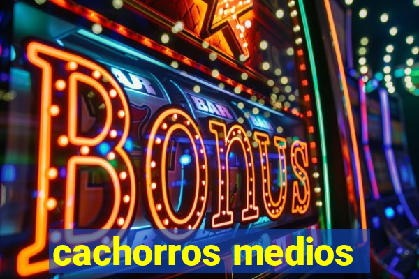 cachorros medios