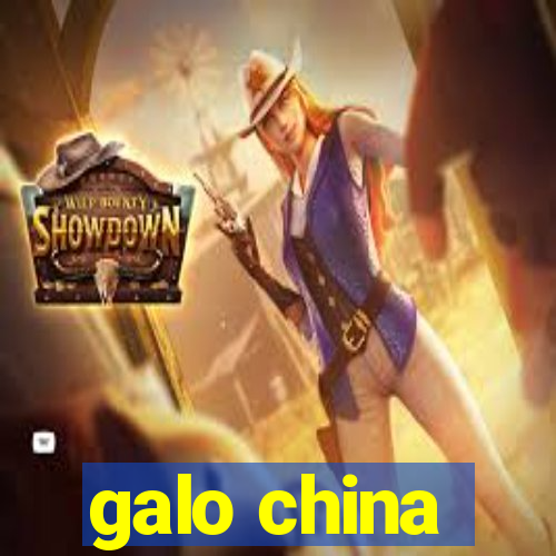 galo china