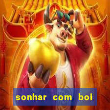 sonhar com boi branco jogo do bicho