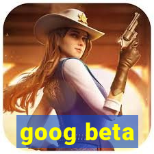 goog beta